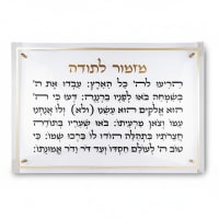 תמונה 4