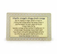 תמונה 4