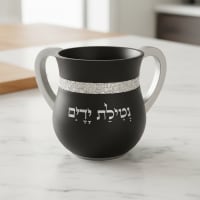 תמונה 3