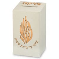 תמונה 4