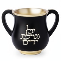 תמונה 4