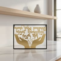 תמונה 3