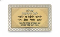 תמונה 4