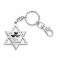 תמונה 4
