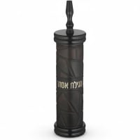 תמונה 4
