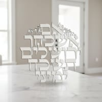 תמונה 3