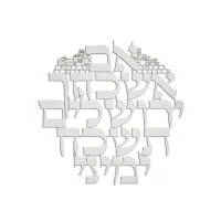 תמונה 4