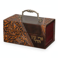תמונה 4