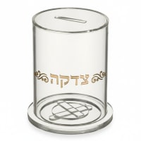 תמונה 4