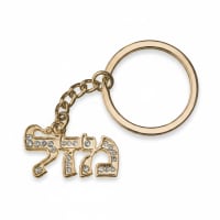 תמונה 4