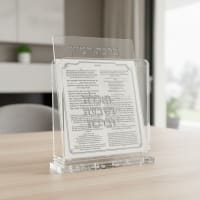 תמונה 3