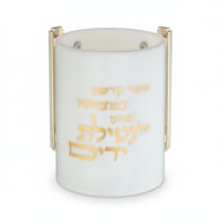 תמונה 4