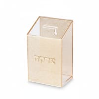 תמונה 4