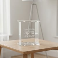 תמונה 3