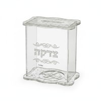 תמונה 4