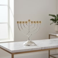 תמונה 3
