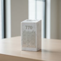 תמונה 3