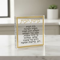 תמונה 3