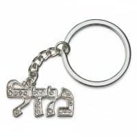 תמונה 4