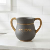 תמונה 3