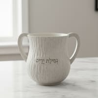 תמונה 3