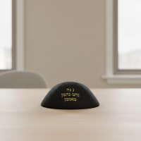 תמונה 3