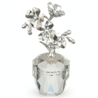 תמונה 4