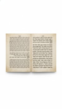 תמונה 4