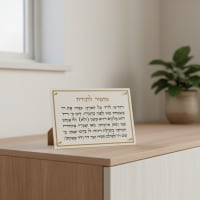 תמונה 3