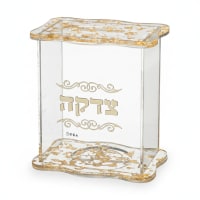 תמונה 4