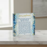 תמונה 3