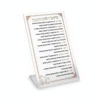 תמונה 4