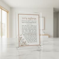 תמונה 3