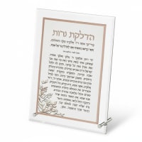 תמונה 4