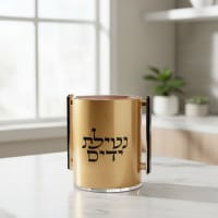 תמונה 3