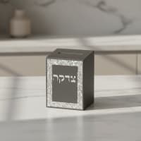 תמונה 3