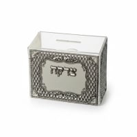 תמונה 4