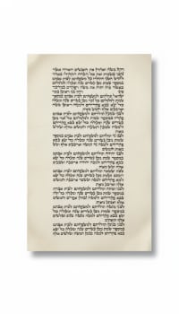 תמונה 4