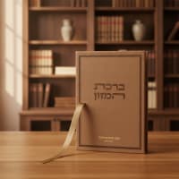 תמונה 1