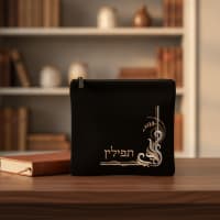 תמונה 1