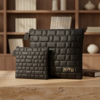 תמונה 1