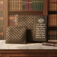 תמונה 1