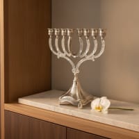 תמונה 1