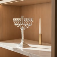 תמונה 1