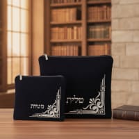 תמונה 1