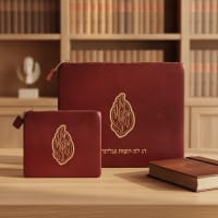 תמונה 1
