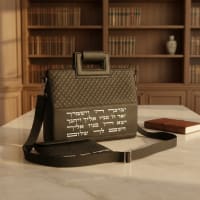 תמונה 1