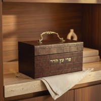 תמונה 1