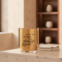 תמונה 1