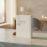 תמונה 1